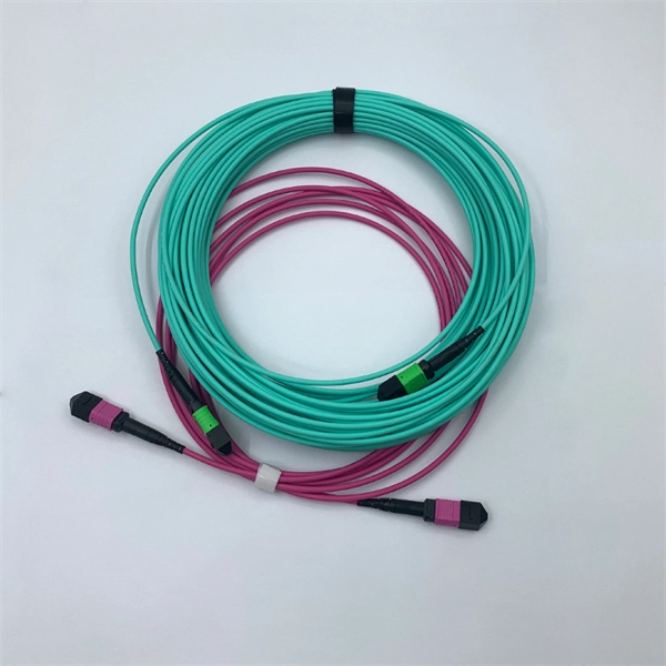 How to configure the primary wiring for a capacitor bank 
