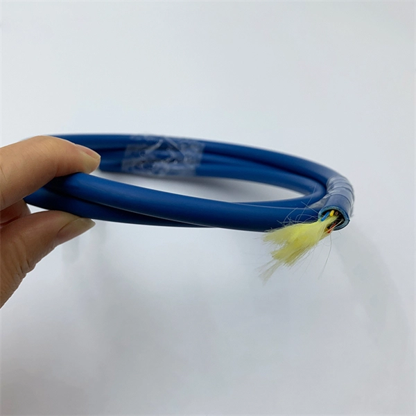 Synchronous optical module